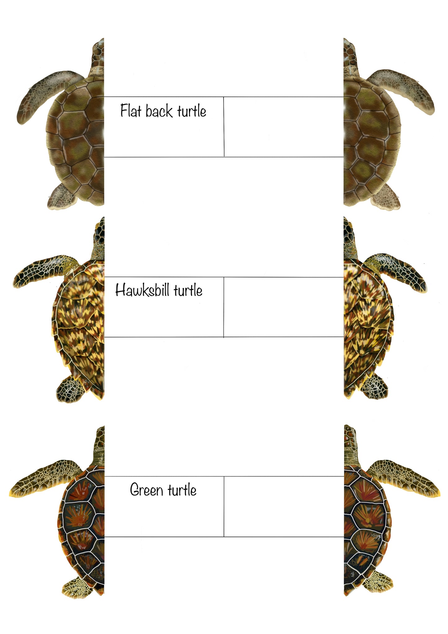 Printable sea turtle book marks