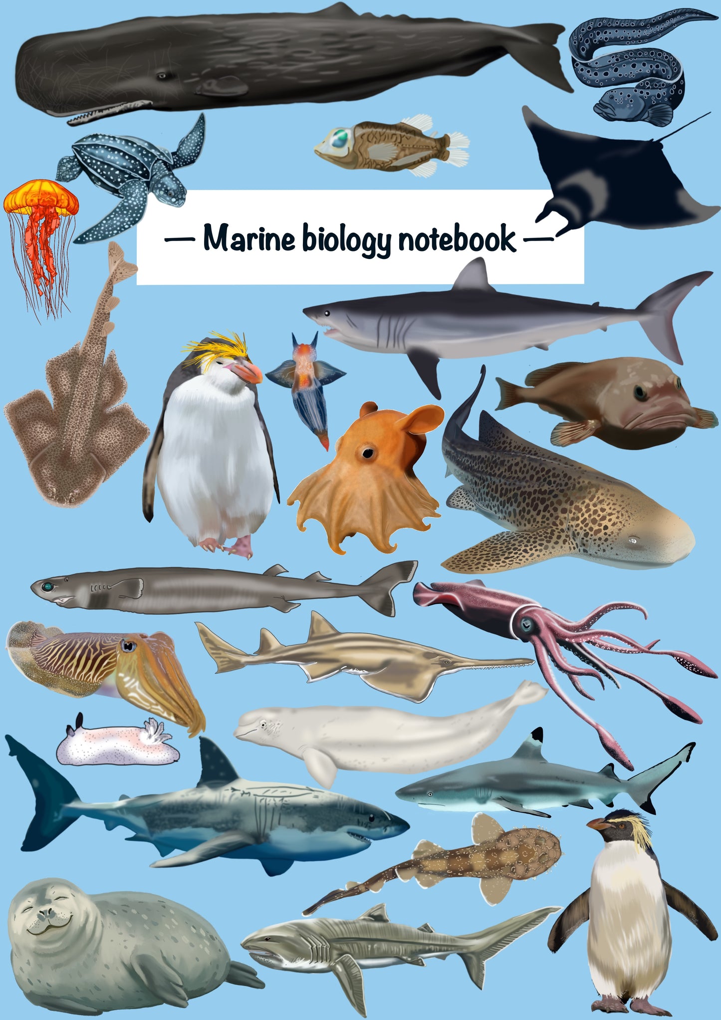 Marine Biology Notebook Bundle (Vol. 1 + Vol. 2) β Digital Download