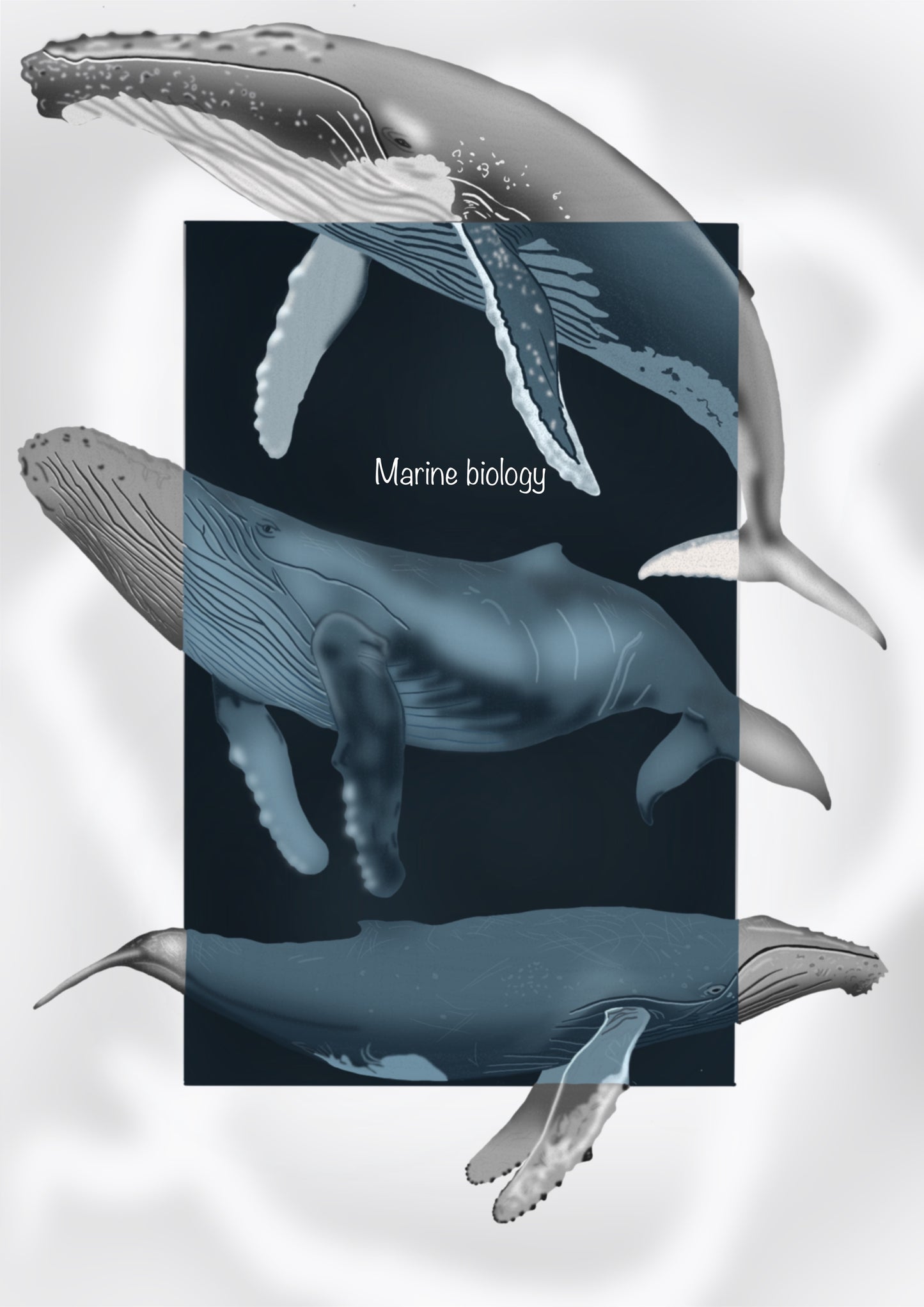 Marine Biology Notebook Bundle (Vol. 1 + Vol. 2) β Digital Download