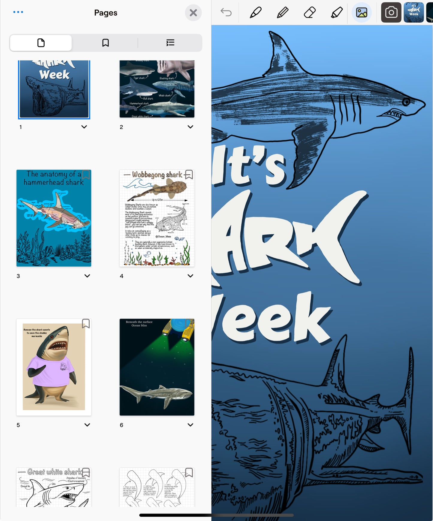 Shark week digital download book