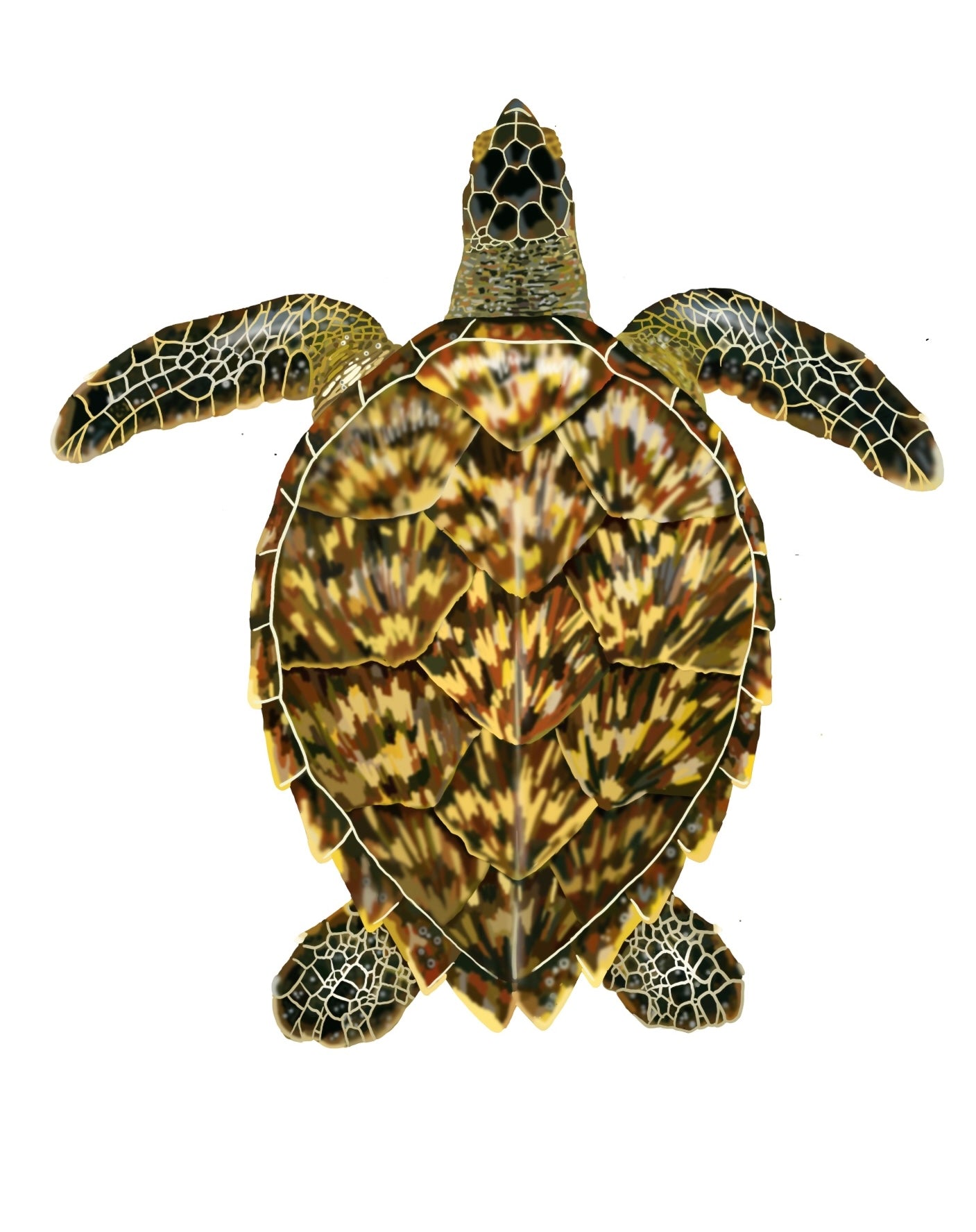 Printable sea turtle book marks