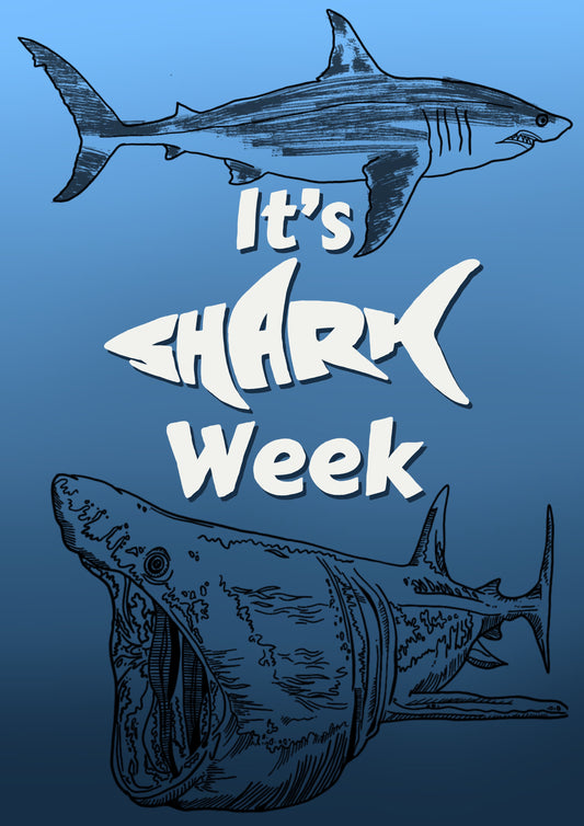 Shark week digital download book