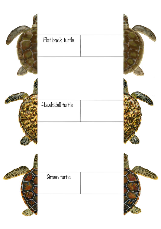 Printable sea turtle book marks