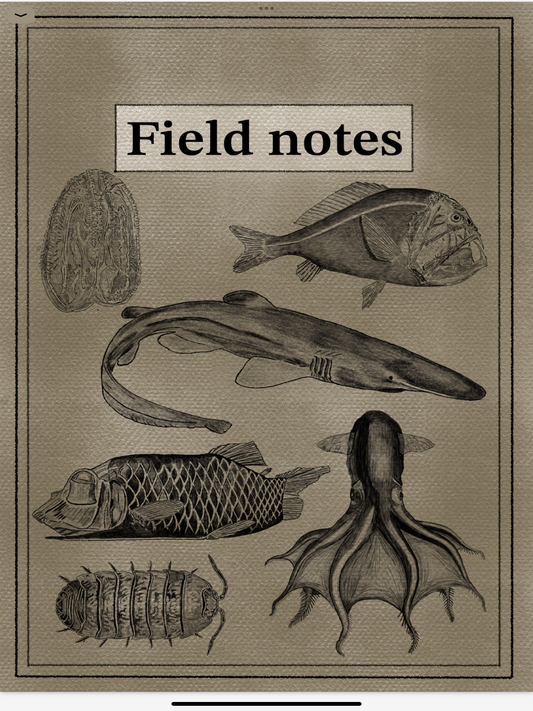 Field Journal of the Abyss — Illustrated Deep Sea Expedition Notes