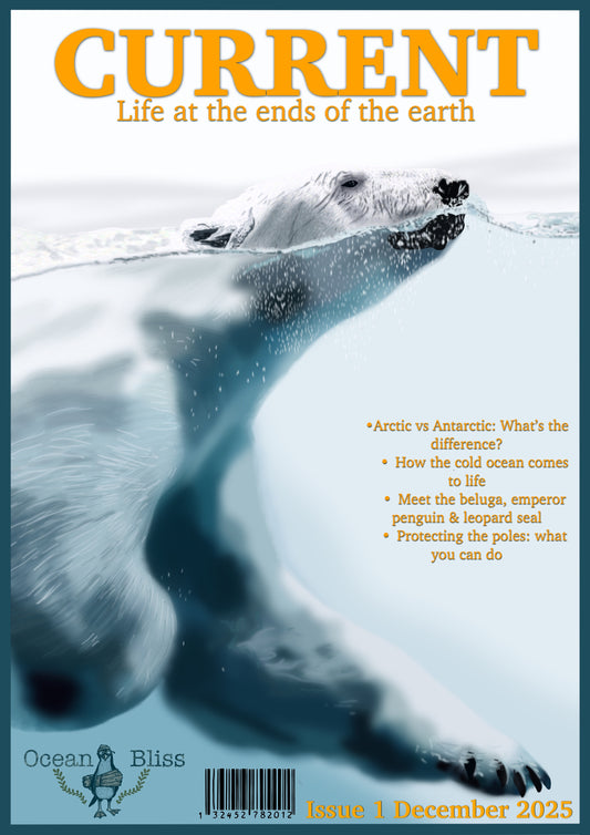 CURRENT life at the ends of the earth. Issue 1 Dec (digital download)