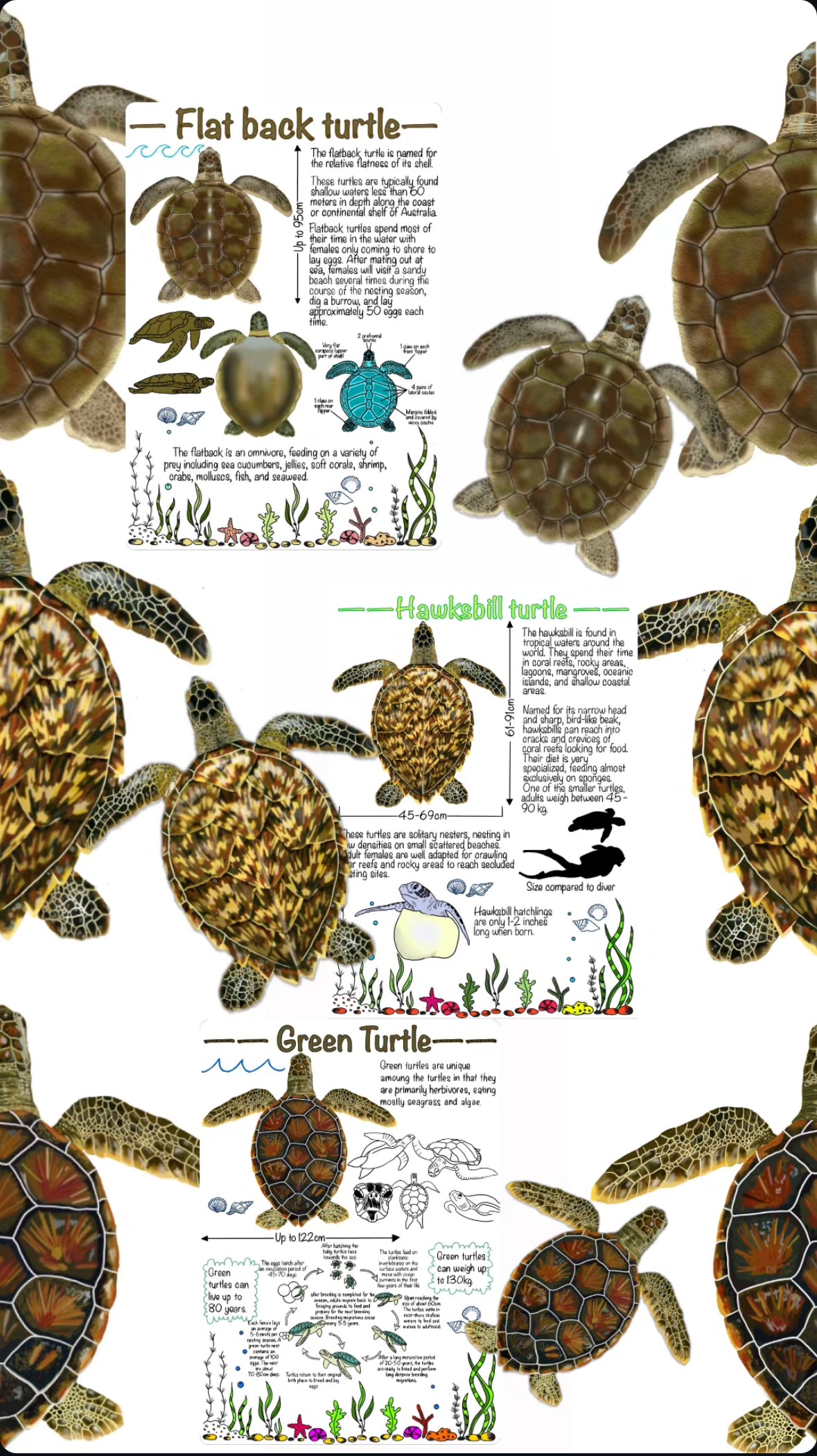 Printable sea turtle book marks