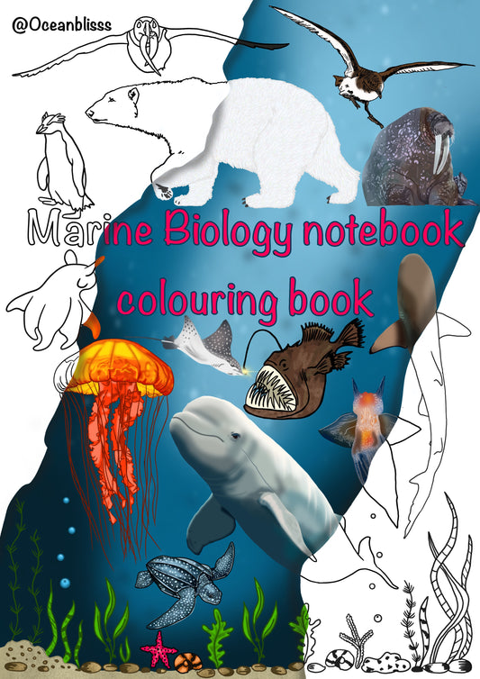 Marine biology notebook colouring book.