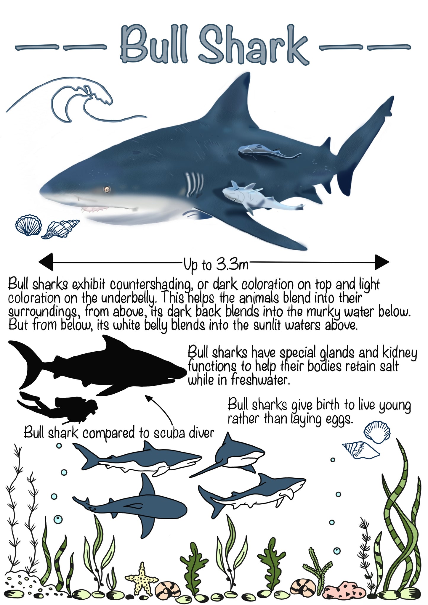 The Marine Biology Journal. A Digital & Printable Ocean-Inspired Book