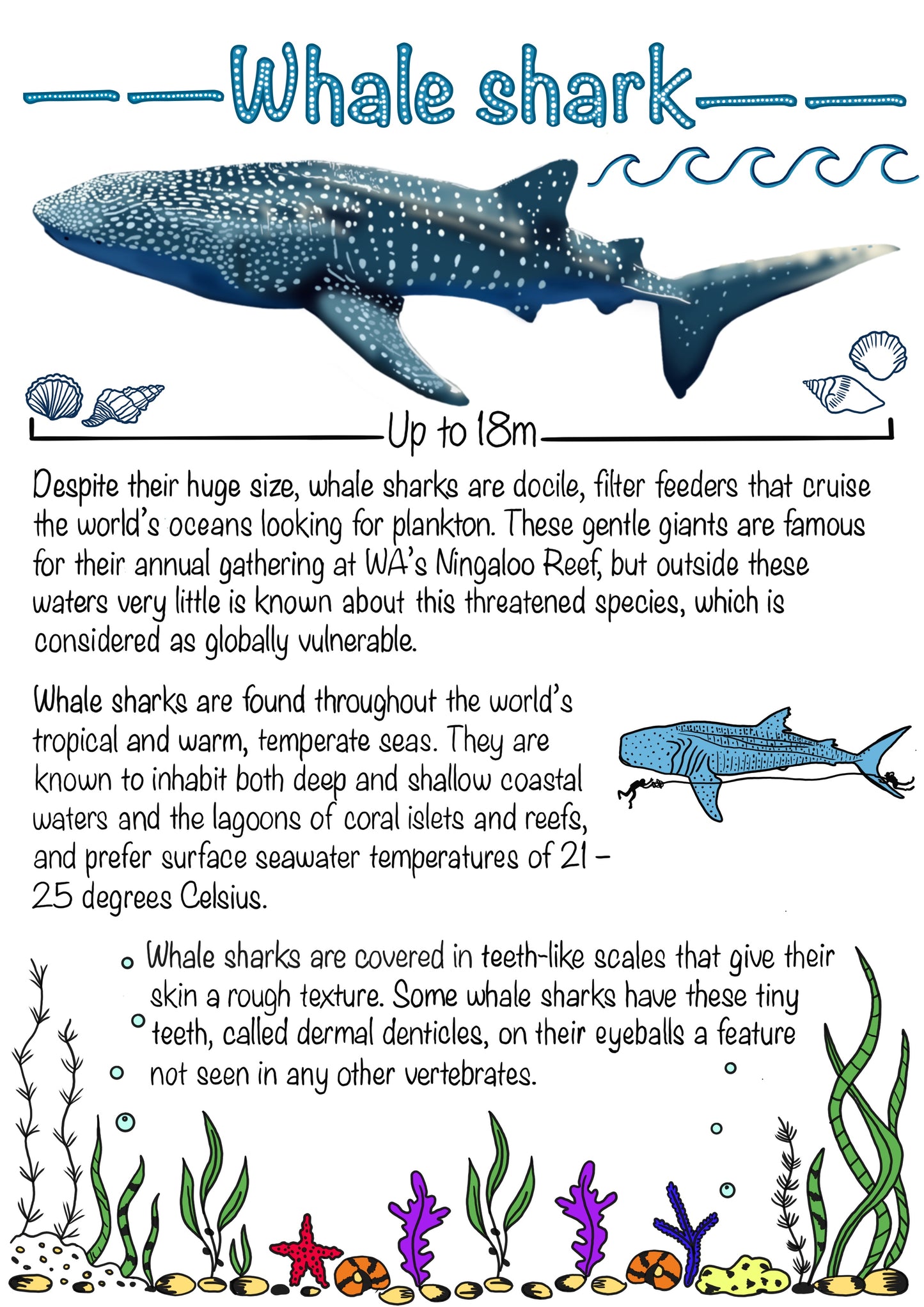 The Marine Biology Journal. A Digital & Printable Ocean-Inspired Book