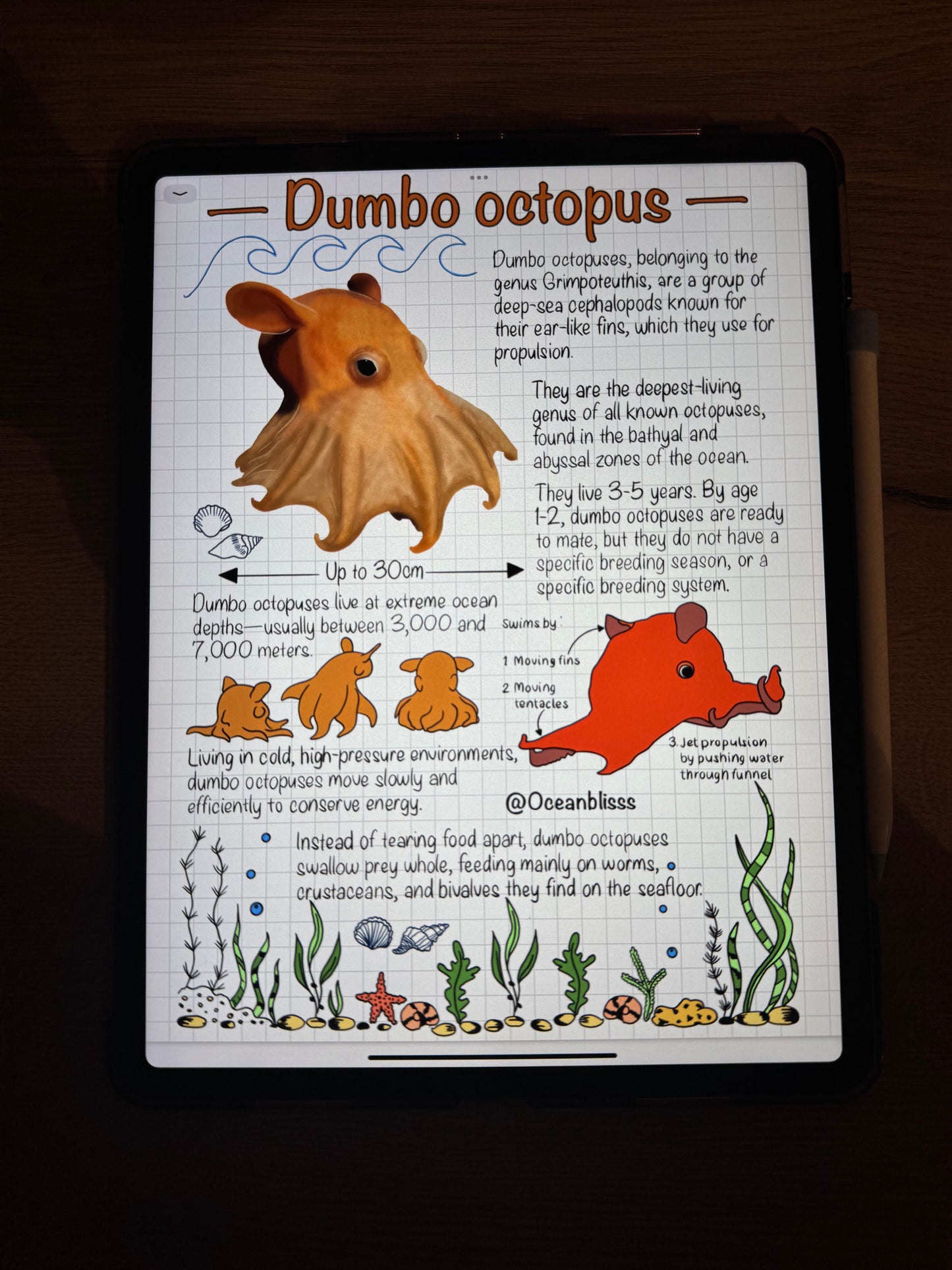 Marine Biology Notebook– Digital Download (Volume 2)