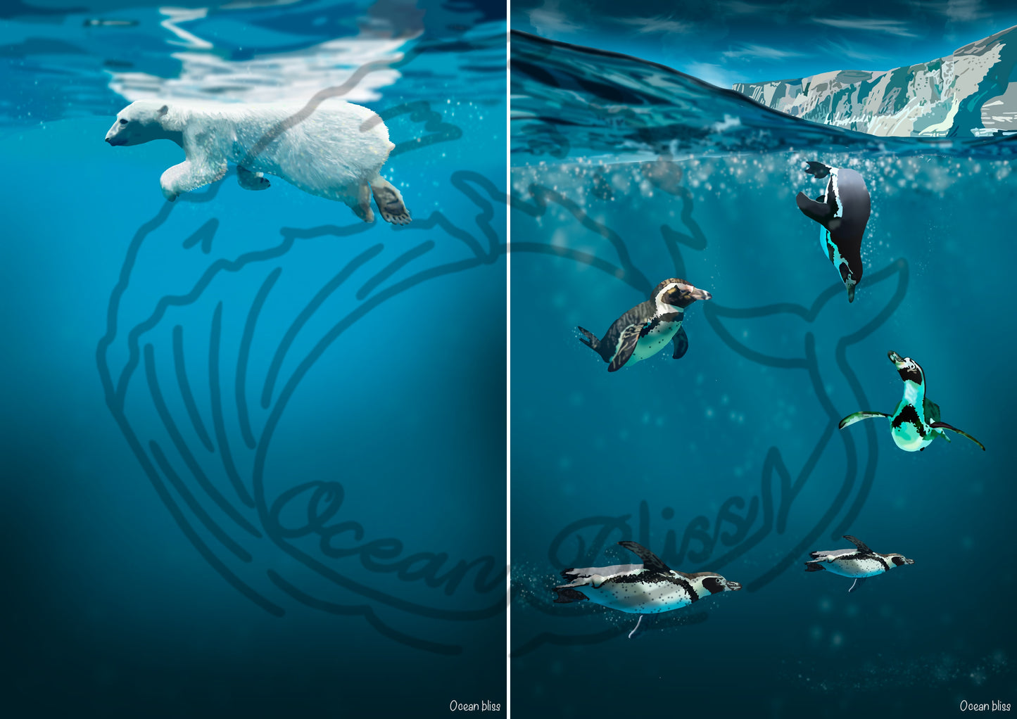 A5 Polar prints