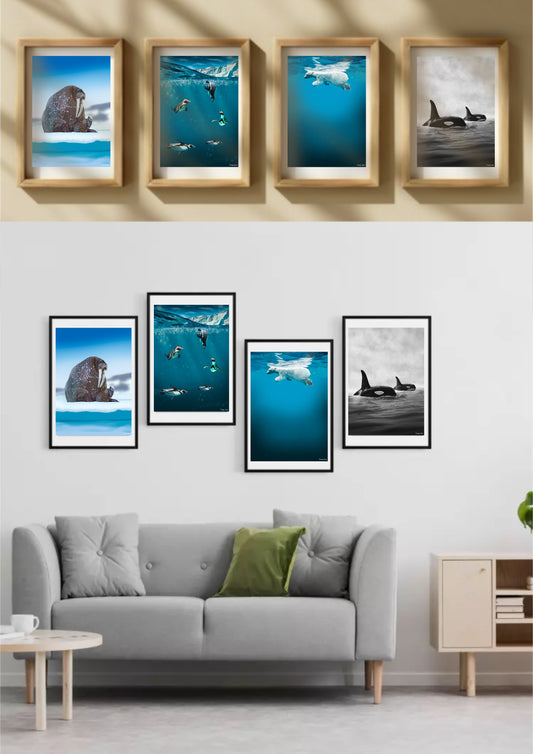 A5 Polar prints
