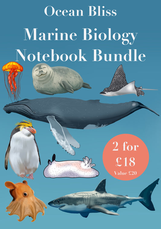 Marine Biology Notebook Bundle (Vol. 1 + Vol. 2) – Digital Download